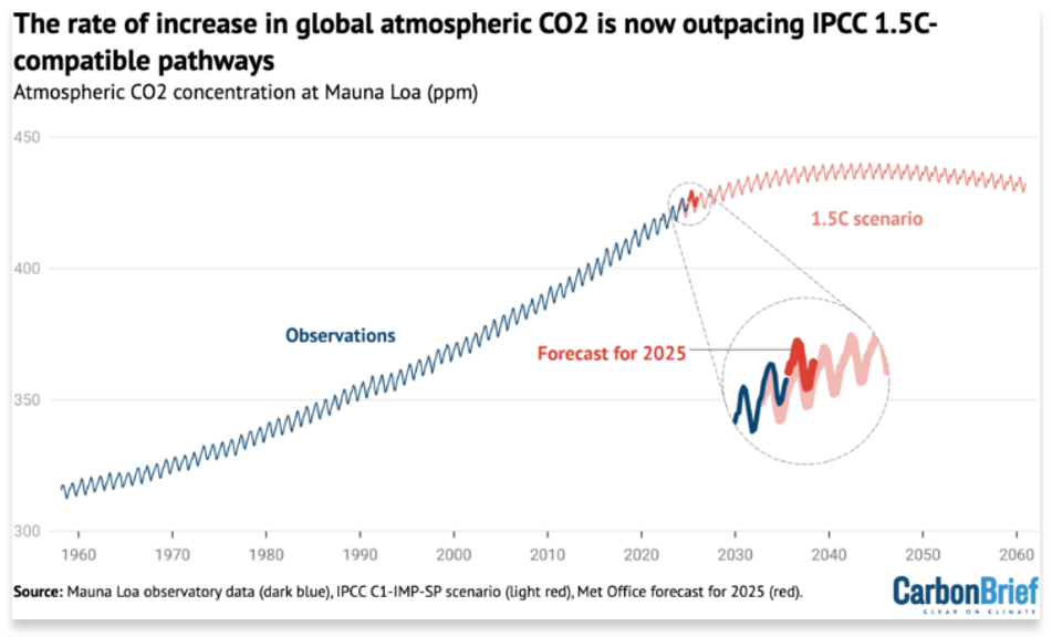 CO2 carbon brief 2025